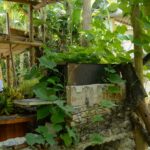seis-em-cada-dez-quilombolas-vivem-em-area-rural,-revela-censo-do-ibge