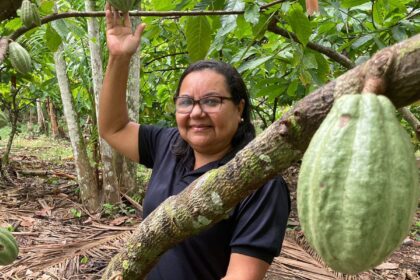 potencial-para-bioeconomia-atrai-investimentos-na-amazonia