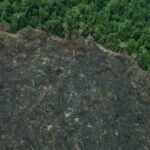 projeto-“implode”-licenciamento-ambiental-no-brasil,-diz-especialista