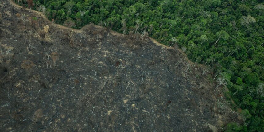 projeto-“implode”-licenciamento-ambiental-no-brasil,-diz-especialista