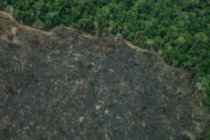 projeto-de-lei-“implode”-licenciamento-ambiental,-diz-especialista