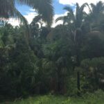 projeto-de-licenciamento-ambiental-e-grande-retrocesso,-diz-ministerio