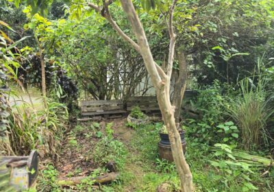 em-guadalupe,-as-“hortas-crioulas”-ensinam-sobre-o-clima-em-um-ambiente-solidario