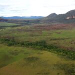 cerrado:-preservacao-e-negocios-sao-tema-do-caminhos-da-reportagem