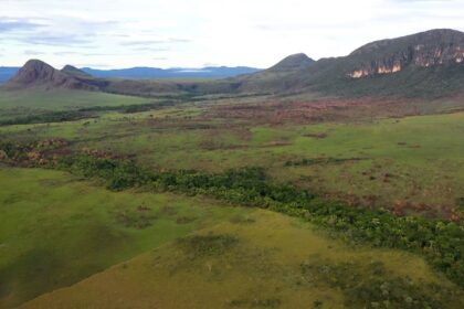 cerrado:-preservacao-e-negocios-sao-tema-do-caminhos-da-reportagem