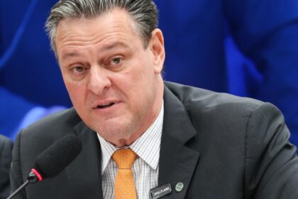 gripe-aviaria-nao-deve-impactar-preco-da-carne-de-frango,-diz-ministro