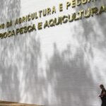 sete-casos-de-doencas-respiratorias-em-aves-sao-investigados-no-pais