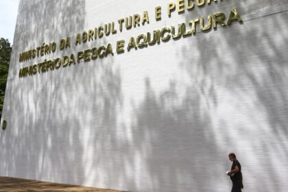 sete-casos-de-doencas-respiratorias-em-aves-sao-investigados-no-pais