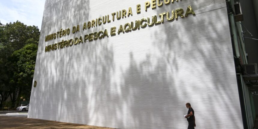 sete-casos-de-doencas-respiratorias-em-aves-sao-investigados-no-pais
