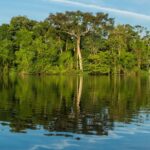 governadores-do-brasil-e-da-indonesia-tomam-a-frente-na-luta-contra-mudancas-climaticas