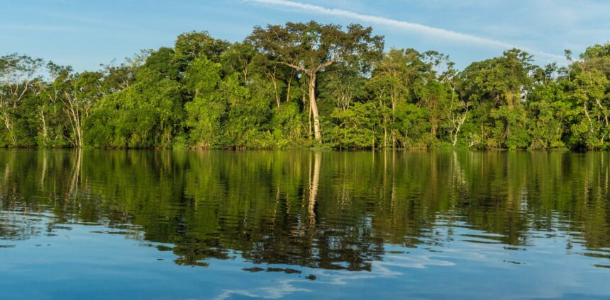 governadores-do-brasil-e-da-indonesia-tomam-a-frente-na-luta-contra-mudancas-climaticas