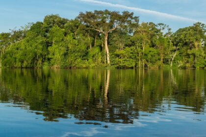 governadores-do-brasil-e-da-indonesia-tomam-a-frente-na-luta-contra-mudancas-climaticas