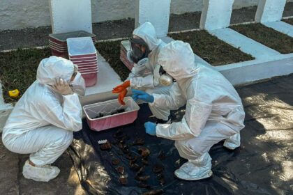 rio:-equipe-encontra-memorial-para-mortos-da-ditadura-em-deterioracao