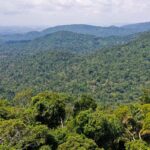 instituto-lanca-edital-para-projetos-que-protejam-a-amazonia