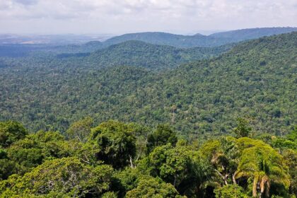 instituto-lanca-edital-para-projetos-que-protejam-a-amazonia