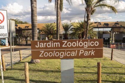 zoologico-de-brasilia-e-fechado-apos-suspeita-de-gripe-aviaria