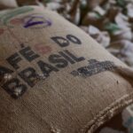 nova-regulamentacao-antidesmatamento-da-ue-afeta-exportacao-de-produtos-brasileiros