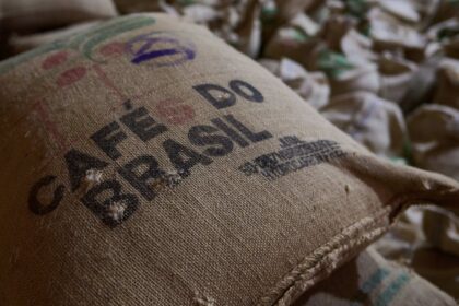 nova-regulamentacao-antidesmatamento-da-ue-afeta-exportacao-de-produtos-brasileiros