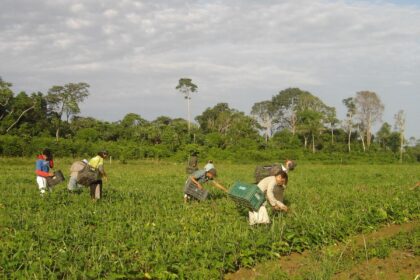produtores-afetados-por-estiagem-no-rs-podem-renegociar-credito-rural