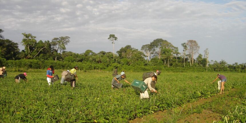produtores-afetados-por-estiagem-no-rs-podem-renegociar-credito-rural