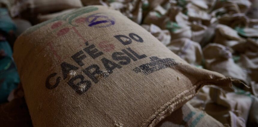 nova-regulamentacao-antidesmatamento-da-ue-afeta-exportacao-de-produtos-brasileiros