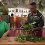 xodo-de-cozinha-exibe-ultimo-episodio-inedito-da-temporada