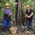 mulheres-extrativistas-enfrentam-preconceito-e-geram-renda-na-amazonia