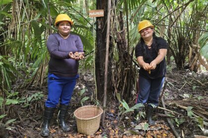 mulheres-extrativistas-enfrentam-preconceito-e-geram-renda-na-amazonia