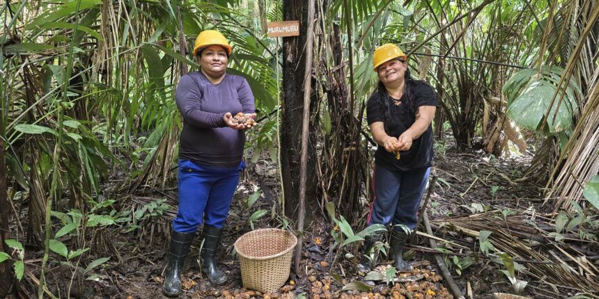 mulheres-extrativistas-enfrentam-preconceito-e-geram-renda-na-amazonia