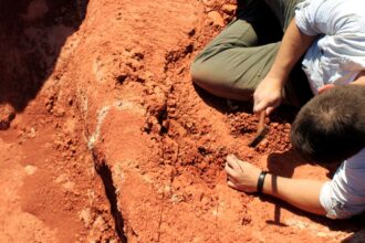 fossil-descoberto-no-brasil-lanca-luz-sobre-origem-dos-dinossauros
