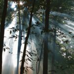 veiculos-da-ebc-exibem-filmes-sobre-preservacao-e-sustentabilidade