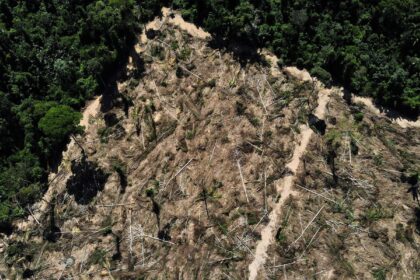 florestas-publicas-nao-destinadas-sao-ameacadas-por-crimes-ambientais