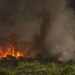 queimadas-fazem-desmatamento-crescer-92%-na-amazonia-em-maio