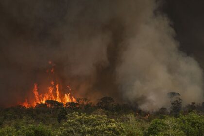 queimadas-fazem-desmatamento-crescer-92%-na-amazonia-em-maio
