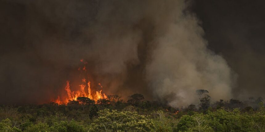 queimadas-fazem-desmatamento-crescer-92%-na-amazonia-em-maio