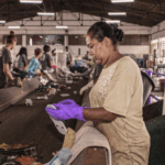 mesmo-sem-apoio,-empresas-brasileiras-prosperam-com-conceito-de-economia-circular