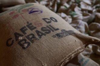 nova-regulamentacao-antidesmatamento-da-ue-afeta-exportacao-de-produtos-brasileiros