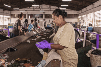 mesmo-sem-apoio,-empresas-brasileiras-prosperam-com-conceito-de-economia-circular