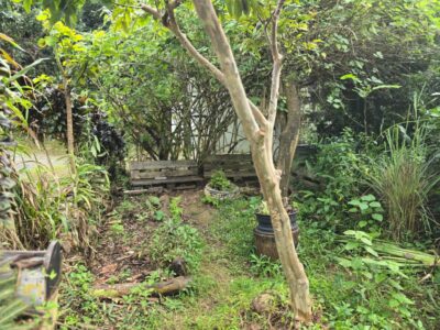 em-guadalupe,-as-“hortas-crioulas”-ensinam-sobre-o-clima-em-um-ambiente-solidario