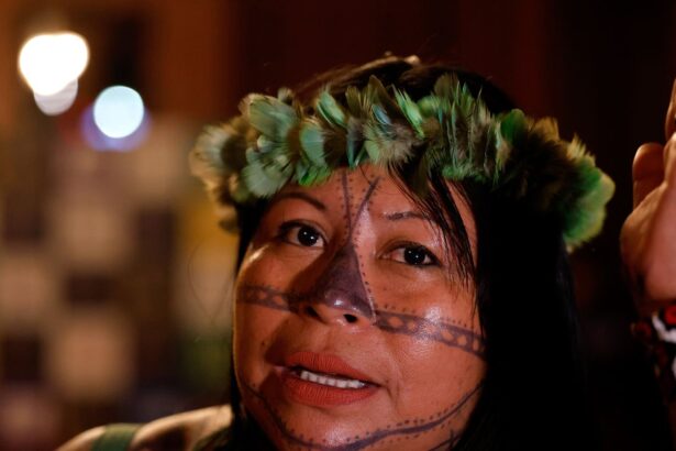 mercado-de-carbono-ameaca-vida-indigena,-diz-alessandra-munduruku