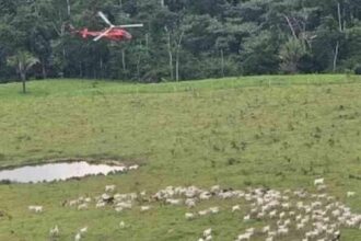 agentes-do-icmbio-sofrem-atentados-em-reserva-no-acre
