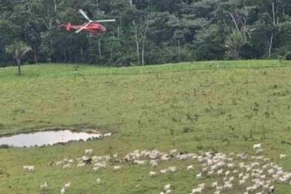 agentes-do-icmbio-sofrem-atentados-em-reserva-no-acre