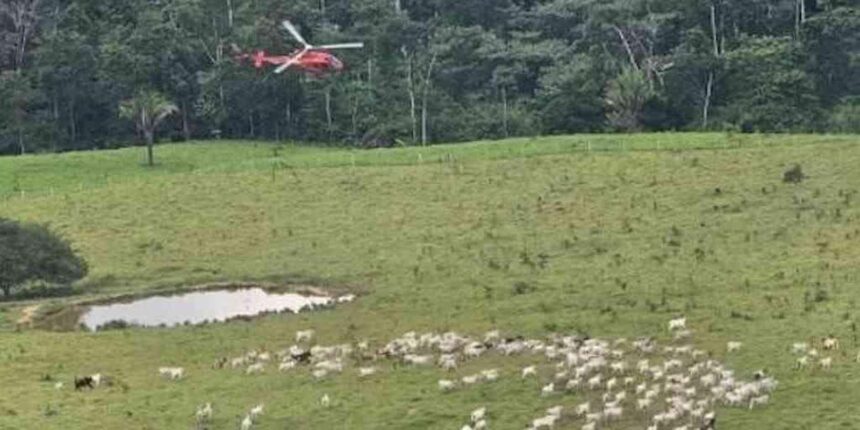 agentes-do-icmbio-sofrem-atentados-em-reserva-no-acre