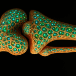 ‘bioinspiracao’:-conheca-os-materiais-que-exploram-a-fronteira-entre-o-vivo-e-o-nao-vivo