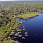 fundo-amazonia-bate-recorde-ao-destinar-mais-de-r$-1-bilhao-em-2025