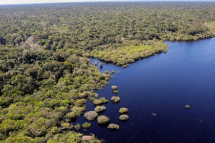 fundo-amazonia-bate-recorde-ao-destinar-mais-de-r$-1-bilhao-em-2025
