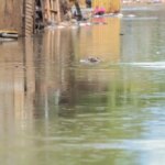 inmet-emite-alerta-vermelho-para-chuvas-no-rio-grande-do-sul