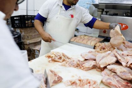 brasil-se-declara-pais-livre-da-gripe-aviaria