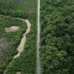 construcao-de-estradas-impacta-mangue-amazonico