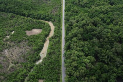 construcao-de-estradas-impacta-mangue-amazonico